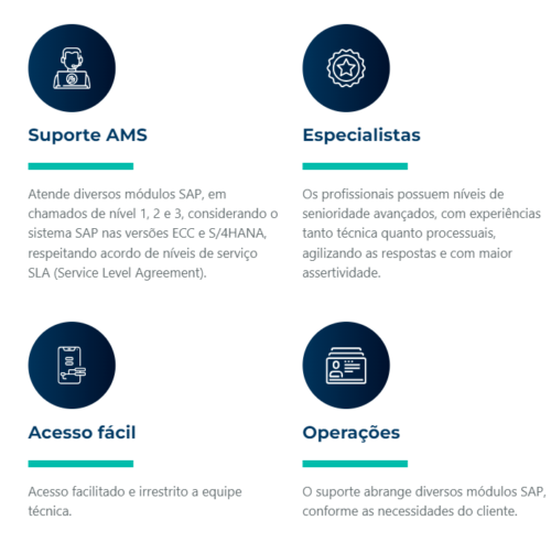 AMS Funcionalidades contempla: Suporte AMS, Especialistas, Acesso fácil, Operações