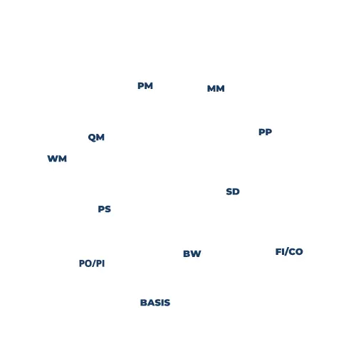 Somos um time de profissionais que atuam na configuração, customização e desenvolvimentos nos mais diversos módulos SAP.